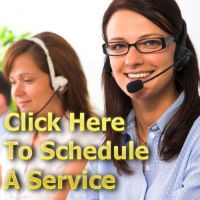 Contact Us Form